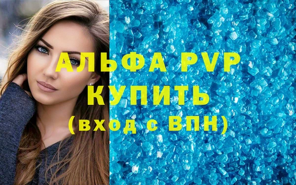 прущие грибы Сатка