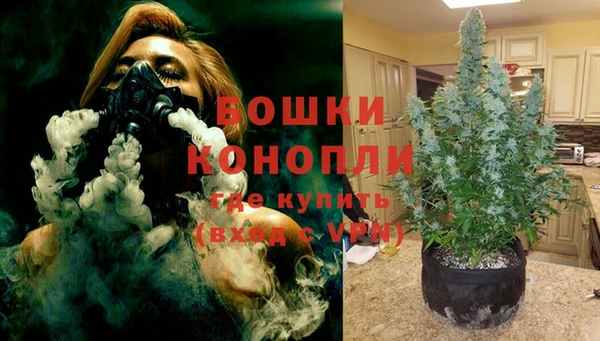 винт Арсеньев