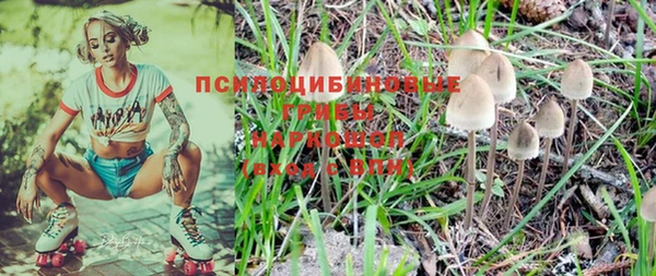 прущие грибы Сатка