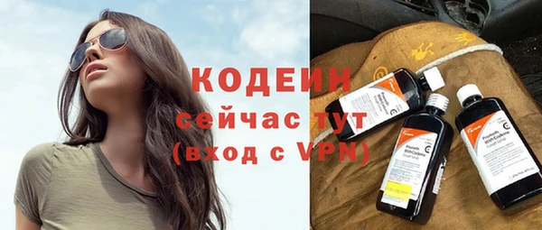 прущие грибы Сатка