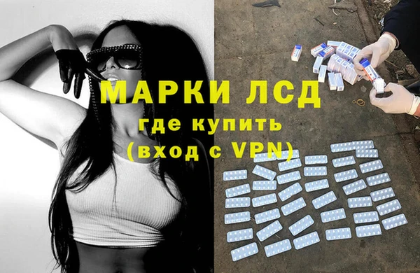 прущие грибы Сатка